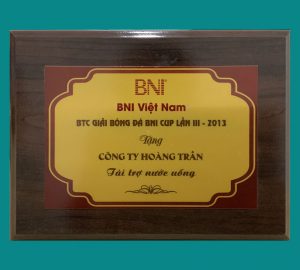 Giai-bong-da-2013 Chứng nhận BTC giải bóng đá 2013